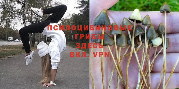гидропоника Верея